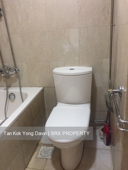 Carissa Park Condominium (D17), Condominium #177810192
